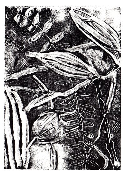 Inky Plants, 2019 (monoprint) av Charlotte Orr