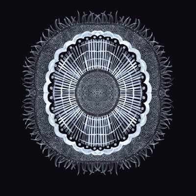 Plant Cell 0.2, 2019 (penna och bläck) av Charlotte Orr