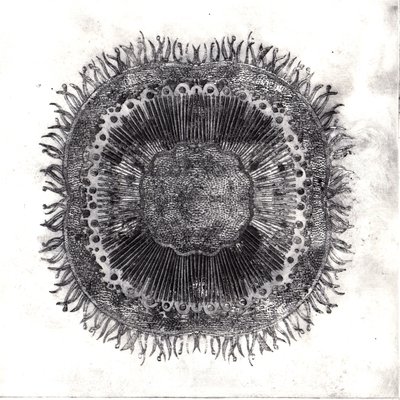Plant Cells, 2019 (torrpunktsetsning) av Charlotte Orr