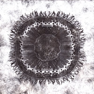 Plant Cells, 2019 (torrpunktsetsning) av Charlotte Orr