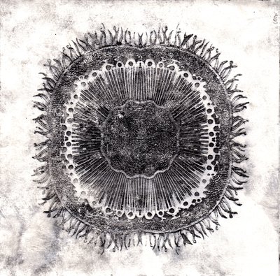 Plant Cells, 2019 (torrpunktsetsning) av Charlotte Orr