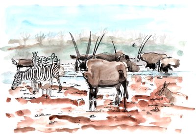 Safari, 2018 (bläck och akvarell) av Charlotte Orr