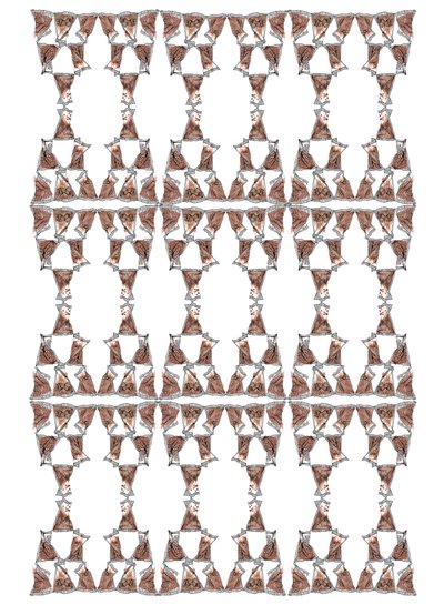 Teförpackningsdesign, 2018 (bläck och akvarell) av Charlotte Orr