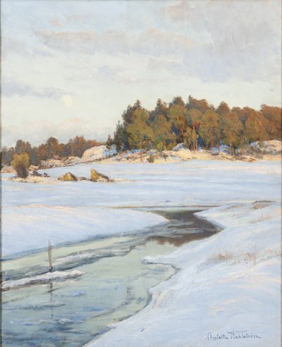 swedish av Charlotte Wahlstrom