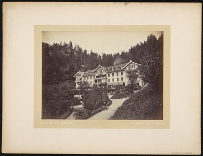 Hotel du Giessbach av Charnaux Frères and Cie.