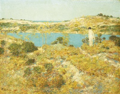 Dune Pool av Childe Frederick Hassam