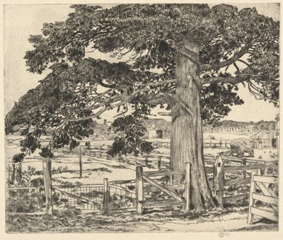 Big Cedar, Wainscott, L. I., 1929 av Childe Hassam