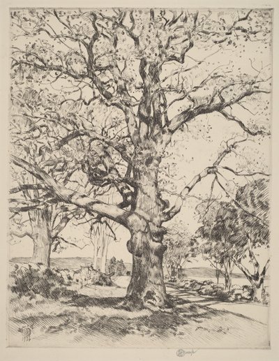  av Childe Hassam