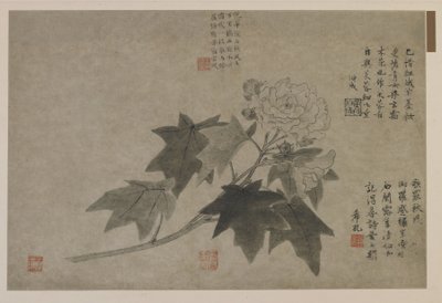 En gren av träpion, möjligen Qing-dynastin (bläck på papper) av Chinese School