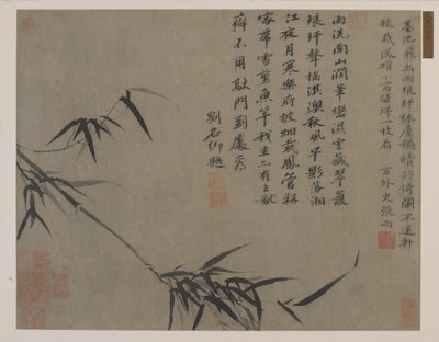 En spray av bambu, möjligen Qing-dynastin (bläck på papper) av Chinese School