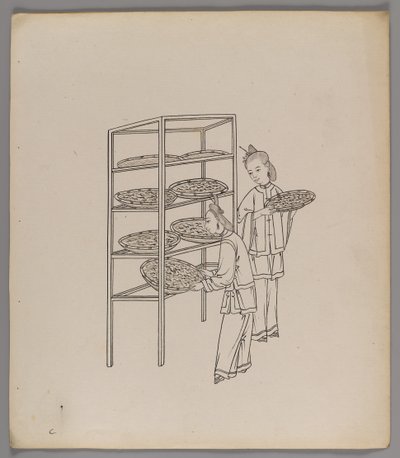 Album med separata blad: Silk Cultivation and Production (bläck på papper) (se även 499288-303) av Chinese School