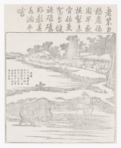 Harva risfältet, 1700-talet av Chinese School