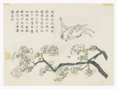 Senapsfröträdgård av Chinese School