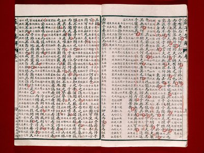 Sida från en poesibok av Chuang-Tzu (bläck på papper) av Chinese School