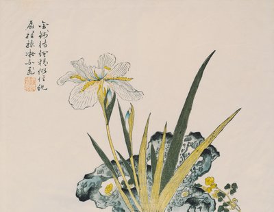 The Garden as Big as a Grain of Senap, 1600-1700-talet av Chinese School