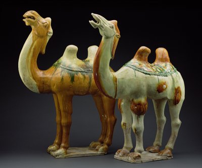 Två kameler, Tangdynastin (618-907) (glaserat lergods) av Chinese School