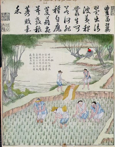 Ogräsrensning, riskulturen i Kina (träblock i färg) av Chinese School