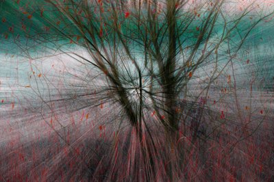Naturens kraft. av Chris Hamilton