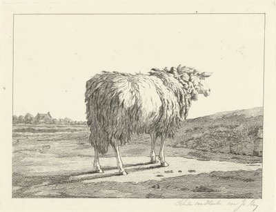 Får i ett landskap av Christiaan Godfried Schutze van Houten