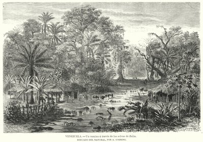Vägen genom djungeln i Zulia, Venezuela (litho) av Christian Anton Goering