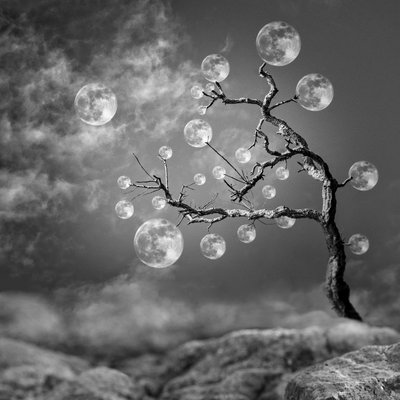 Fantasy Moon Tree av Christian MARCEL