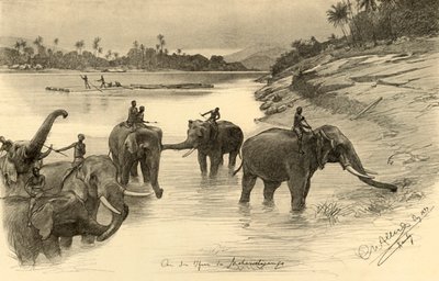 Elefanter på stranden av Mahaweli-floden, Ceylon, 1898. av Christian Wilhelm Allers