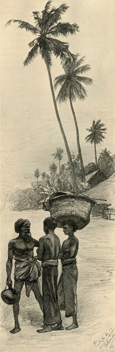 Grupp män, Colombo, Ceylon, 1898. av Christian Wilhelm Allers