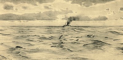 Ångfartyg på Indiska oceanen, 1898. av Christian Wilhelm Allers