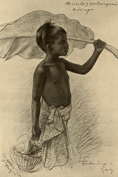 Tamil pojke, Kandy, Ceylon, 1898. av Christian Wilhelm Allers