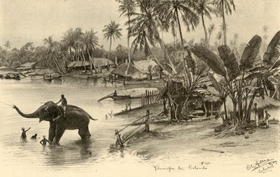 Tvätta en elefant i floden, Colombo, Ceylon, 1898. av Christian Wilhelm Allers
