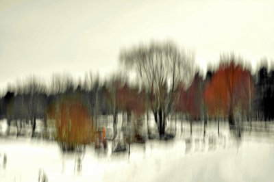 Sammanfattning: Vinterskog av Christina Sillen