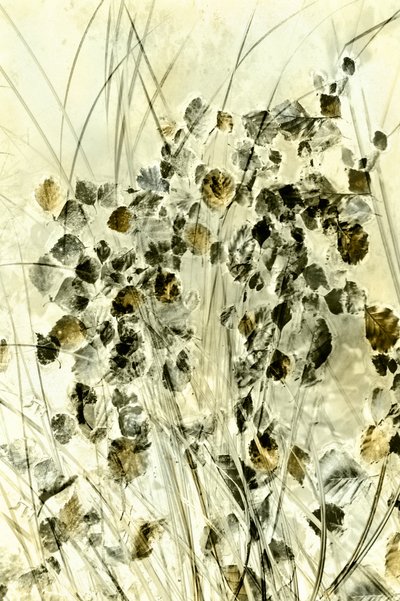 Eteriska botaniska former av Christina Sillen