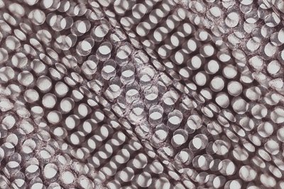 Geometriskt skuggspel av Christina Sillen