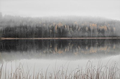 Dimhöljd höstsjö av Christina Sillen