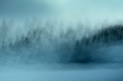 Den dimmiga blå skogen av Christina Sillen