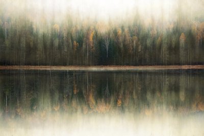 Spegelbild i den dimmiga skogen av Christina Sillen
