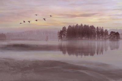 Fåglar i flykt över Misty Lake av Christina Sillen