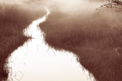Misty River-stigen av Christina Sillen