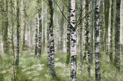 Den fridfulla björkskogen av Christina Sillen