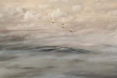 Silver Haze av Christina Sillen