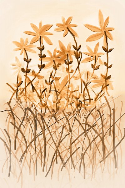 Varm sepia-botanik av Christina Sillen