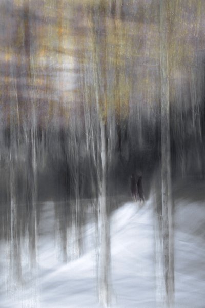 Vinterpromenad i skogen av Christina Sillen