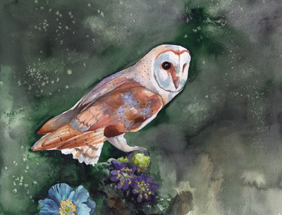 Ladugårdsuggla – nattliga blommor av Christine Lindstrom