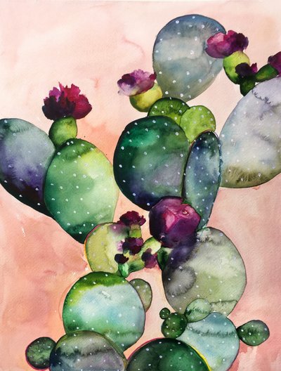 Färgglada kaktusblommor av Christine Lindstrom