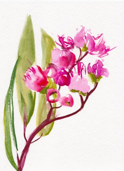 Livfulla rosa blommor av Christine Lindstrom