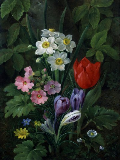 Trädgårdsblommor på våren (bl.a. prästkragar, tulpaner, påskliljor, krokusar och primula). Målning av Christine Marie Lovmand (1803-1872) Privat samling. av Christine Lovmand