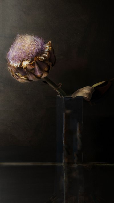 Stämningsfull kronärtskocksblomma av Christine SUISSIA