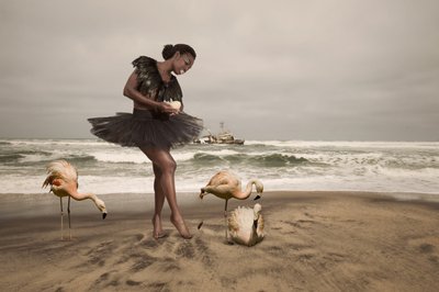 Ballerina och strandflamingor av Christine von Diepenbroek