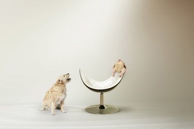 Hundens kycklingdilemma av Christine von Diepenbroek