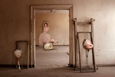 Flamingo-balettdrömmen av Christine von Diepenbroek